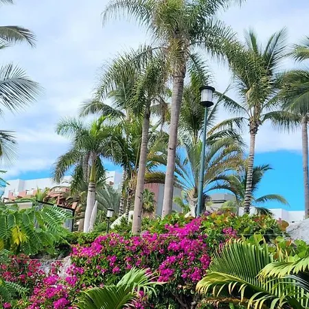 Golf Del Sur Park Albatros Lägenhet *